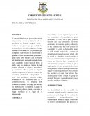 Articulo trazabilidad