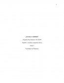 Un Ensayo igualdad de la mujer