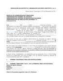 CUAL ES LA DESIGNACIÓN DE SUSTITUTO DE AGENTE ADUANAL