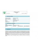 Programa Analítico.