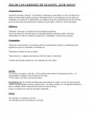 Festejo dia de los jardines