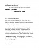 Analisis Accion Publica de Inconstitucionalidad