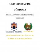 Ejemplo de Proyecto sobre Caracteristicas del Hormigón