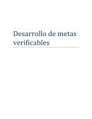 Cual es el Desarrollo de metas verificables