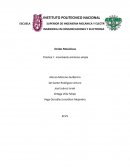 Practica 1: movimiento armónico simple