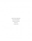 OBJETIVOS DEL MARKETING