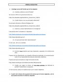 MODELO LEGISLATIVO CUESTIONARIIO