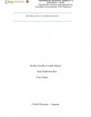 CARACTERIZACIÒN DE LA IDEA DE NEGOCIO