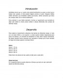 Practica 5 de fisica lab fime 1