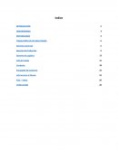 Evaluacion de Desempeño