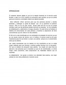 Introduccion serv social