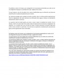 Sistemas de informacion geografica google earth