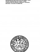 CREACIÓN DE UNA SOCIEDAD ANONIMA