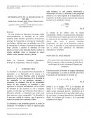 UN NUEVO INFORME DENSIDAD DE UN SOLIDO