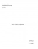 LOS ASPECTOS CULTURALES EN LA NEGOCIACIÓN