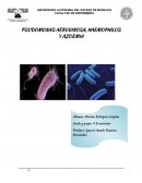 Conceptos de farmacologia