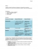 Identificar y describir los factores que intervienen en el desarrollo de una empresa multinacional a fin de conocer cómo se administran, organizan y operan dichas organizaciones