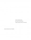 Busqueda y analisis de la informacion