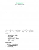 Contaminación Causas y Consecuencias