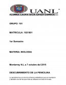 Biologia. DESCUBRIMIENTO DE LA PENICILINA