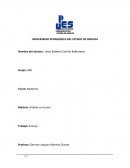 Análisis curricular Trabajo: Ensayo