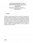 Frijoles de Soya y el ATP