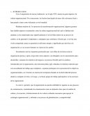 CONCEPTUALIZACIÓN DE LA CULTURA ORGANIZACIONAL