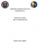 REPORTE DE ACTIVIDAD TEMA: EL SISTEMA MUSCULAR