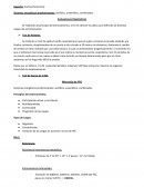 Planificacion hockey