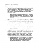 Ciclo de vida de una empresa