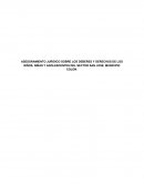 Estudios Juridicos Niños Niñas y Adolescentes