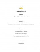 Responsabilidad social una práctica de vida