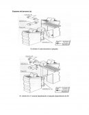 Elevador clasificador de paquetes