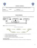 Proceso economico. Conjunto de actividades económicas que son realizadas por los hombres