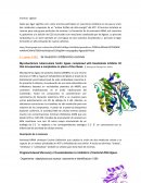 Enzimas ligasas