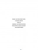 Ensayo del libro “aprende a aprender”