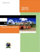 Investigación de Mercados