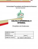 PORTAFOLIO DE EVIDENCIA EJEMPLO