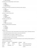 Piramide alimenticia