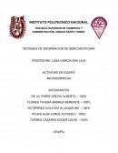 Actividad en equipo de sistemas de información de mercadotecnia