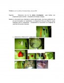 TRABAJO DE COCINA INTERNACIONAL