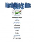 TRABAJO FINAL EMPRENDURISMO