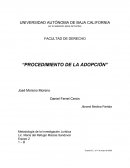 Investigación sobre Adopción