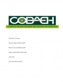 Practica No.1 Composta Materia: Ecología y Medio Ambiente