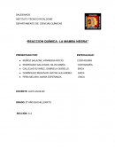Reaccion química: La mamba negra