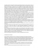 Traduccion de Caso JC Penney