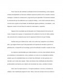 Psicología del mercado: atracción y retención de clientes