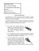 Historia de la Microscopia