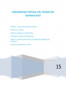 CUADRO SINOPTICO DE LOS PROBLEMAS AMBIENTALES GLOBALES