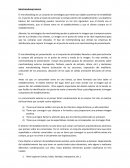 Merchandising Externo